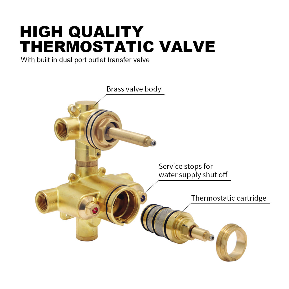 Thermostatic Shower System