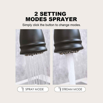 Pull-Down Kitchen Faucet