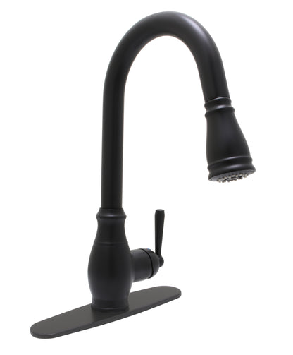 Classic Pull-Down Kitchen Faucet Matte Black - ReliaFLO