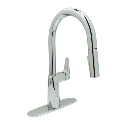 Best Buy Pull-Down Kitchen Faucet - Reliaflo